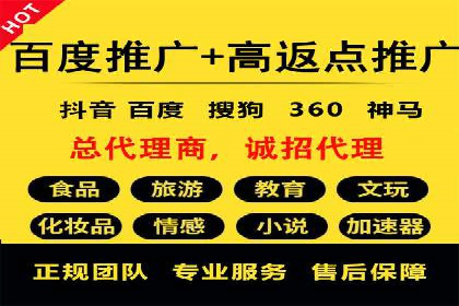 成功案例分享：SEM竞价代运营策略解析